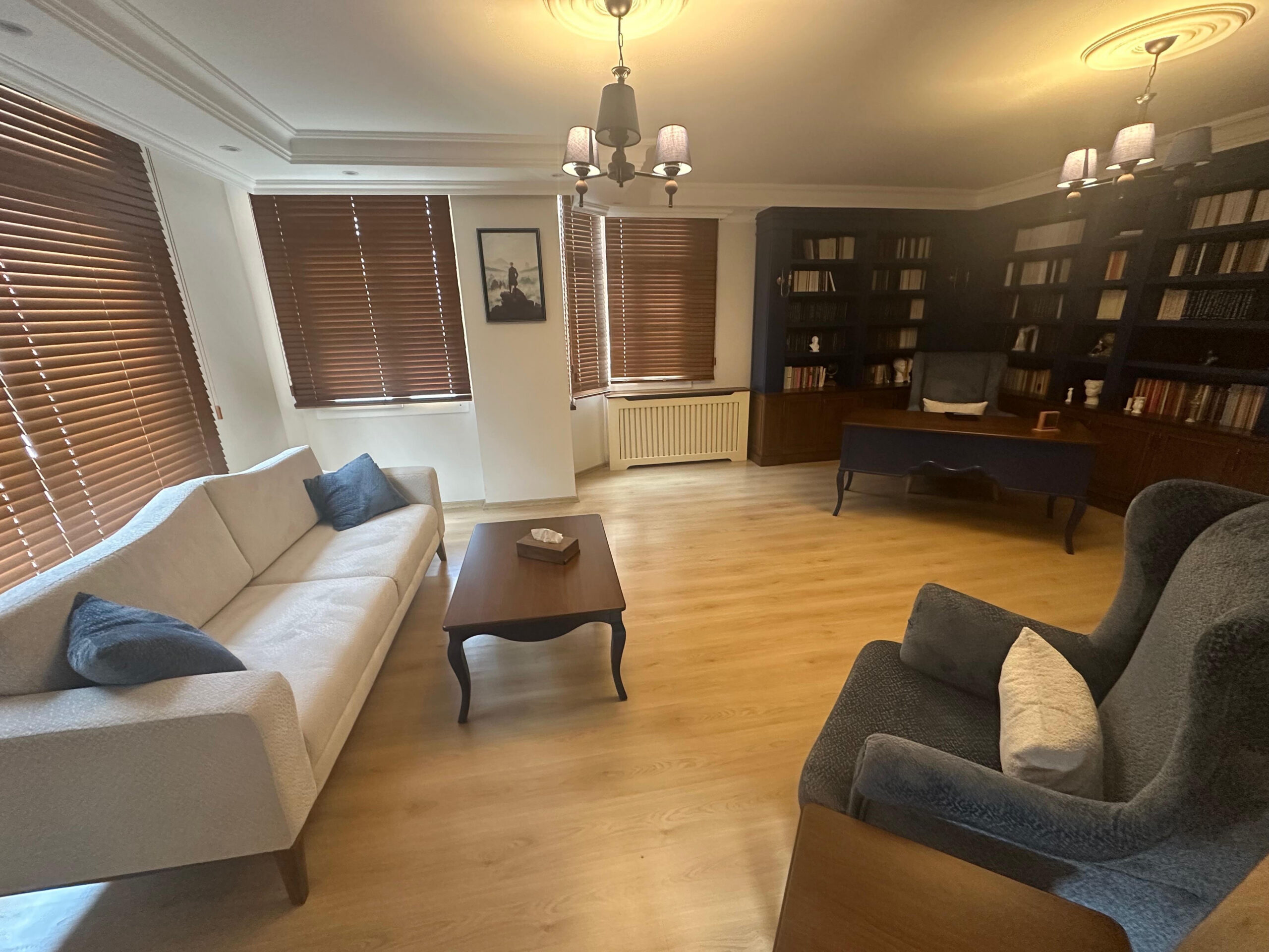 Adana psikolog ve psikoterapi görüşme odası